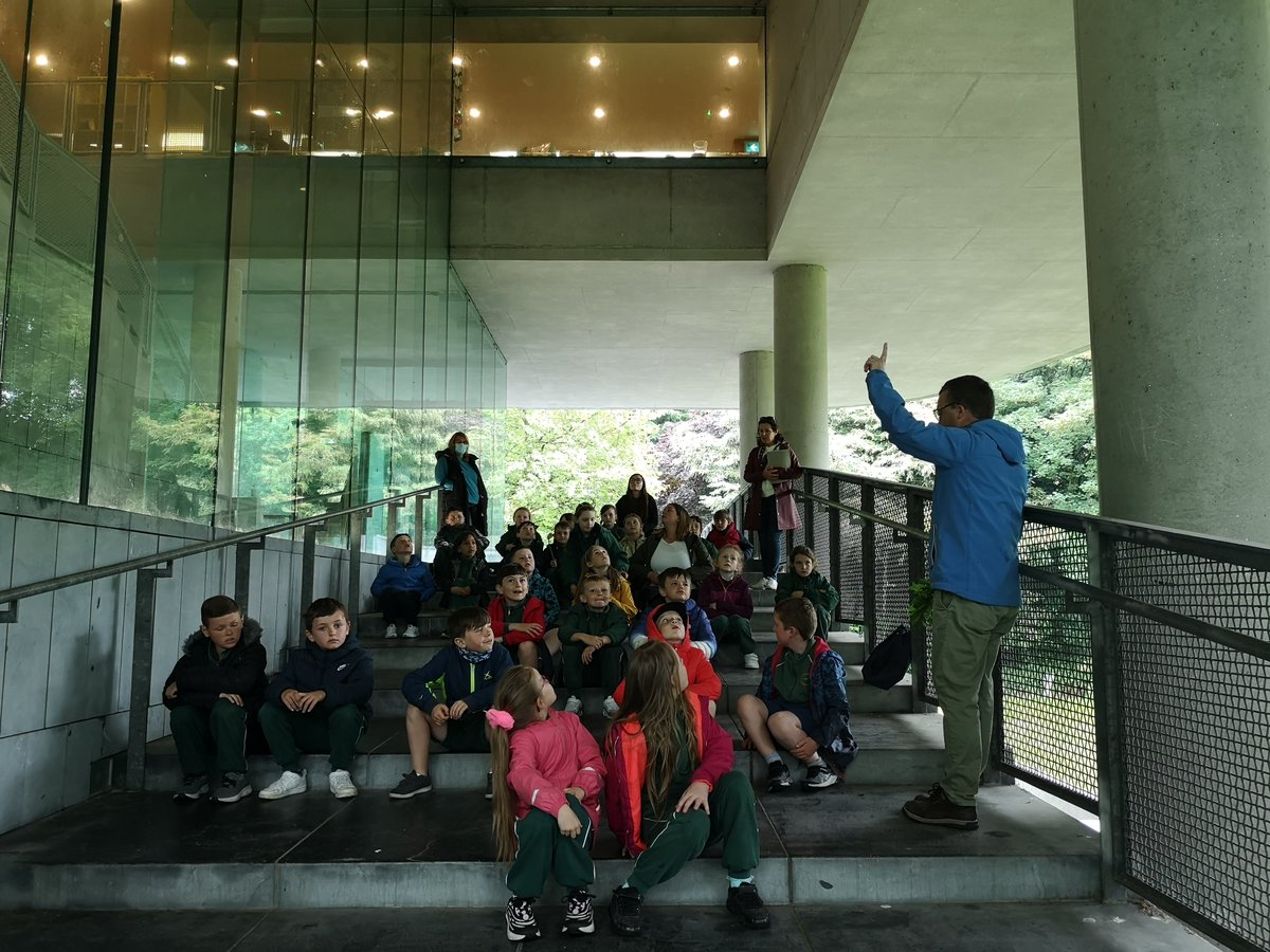 BarbaraDoylePre's tweet photo. Day 2. A big welcome to 2nd class Gaelscoil an Teaghlaigh Naofa @GNaofa. Loved hearing all your wonderful questions & comments on our tree collection as part of @scienceirel funded #Treeexplorers #BelieveInScience #healthyplanet @UccTrees @uccBEES @EmmaHutch1 @jdmurph73 @SDGoals https://t.co/kaRUSabFlq