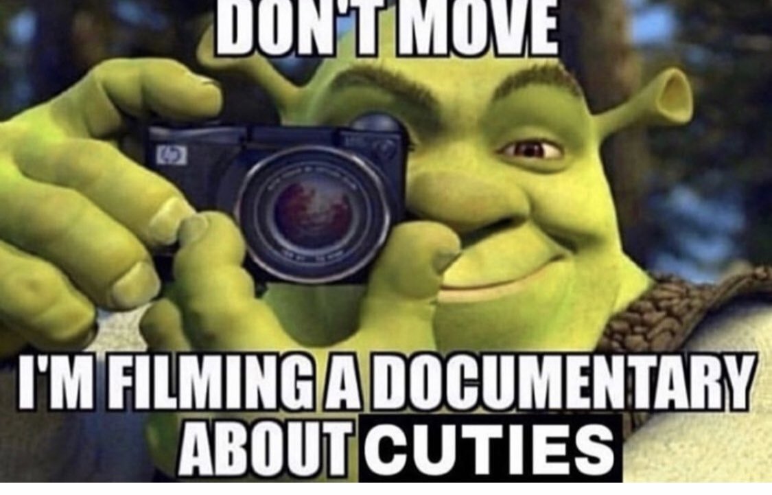 23+] Shrek Meme Wallpapers