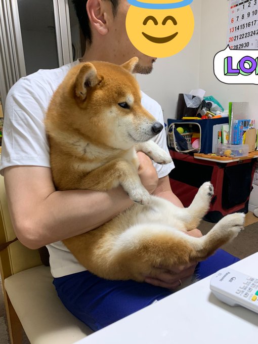 Ao Fujimoriさん の最近のツイート 5 Whotwi グラフィカルtwitter分析