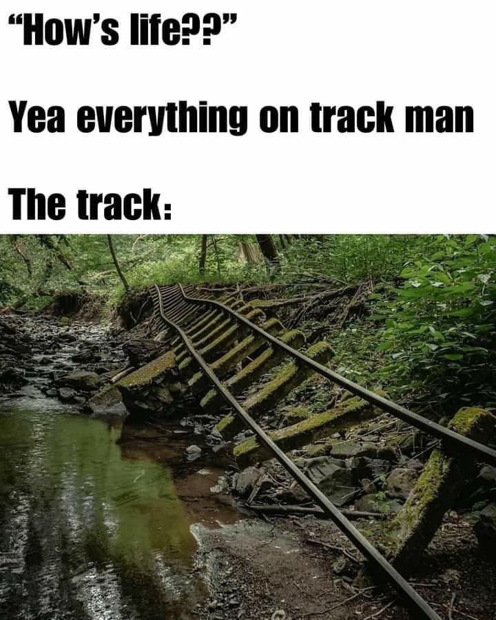 Yep right on track🥴