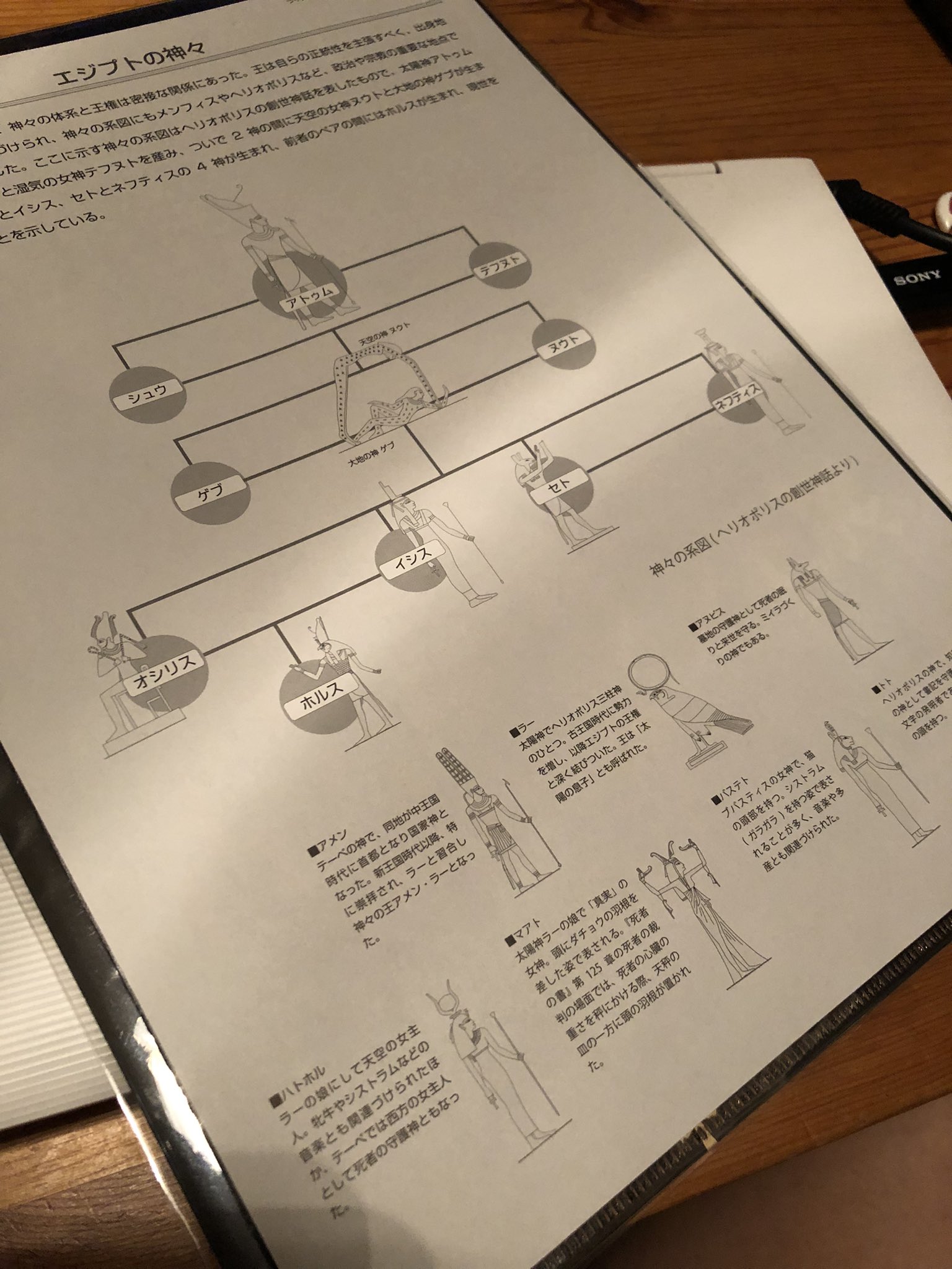 山口夢 楊貴妃転生 サレシタ Sur Twitter エジプト神相関図 ミイラの作り方の資料を無料配布して下さる至れり尽くせりっぷり いやぁ 素晴らしい特別展でした ありがたやーありがたやー T Co 6peejbspit Twitter