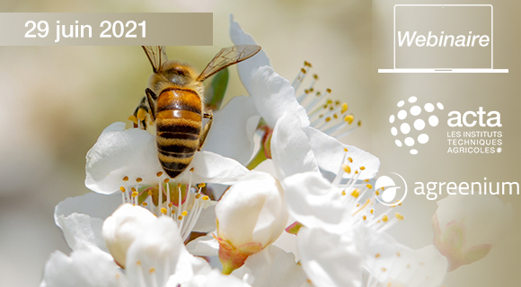 Agrowebinaire <a href="/Agreenium/">Agreenium</a> <a href="/ACTA_asso/">Acta</a> mardi 29 juin Intégrer le service de pollinisation dans sa stratégie d’exploitation - gestion des populations d’#abeilles  avec F. ALLIER <a href="/ITSAPinstitut/">ITSAP-Abeille</a> J-C CONJEAUD <a href="/AnamsoAssos/">ANAMSO</a>  P. GOLFIER
us02web.zoom.us/webinar/regist…
