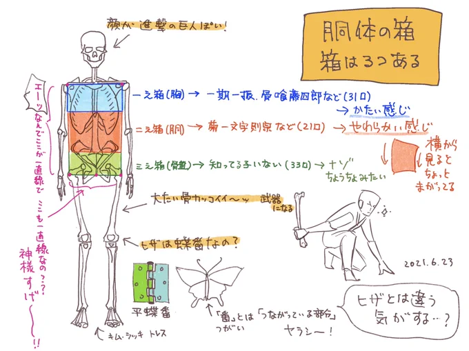 キムラッキおもしろーい!
上半身を3つの箱として図形化して見るんだって…
(絵は適当に加筆してしてます)
 #日々描く 