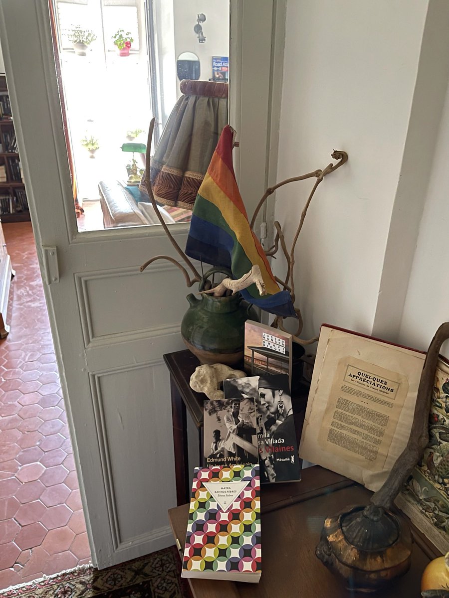 marieo9o9's tweet image. #moisdesfiertés🌈#conseilslecture
quelques caractères cachés : Un jeune américain et Camilla Sosa Vilada Les Vilaines