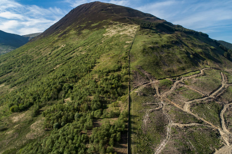 Doing Things Differently tweet media