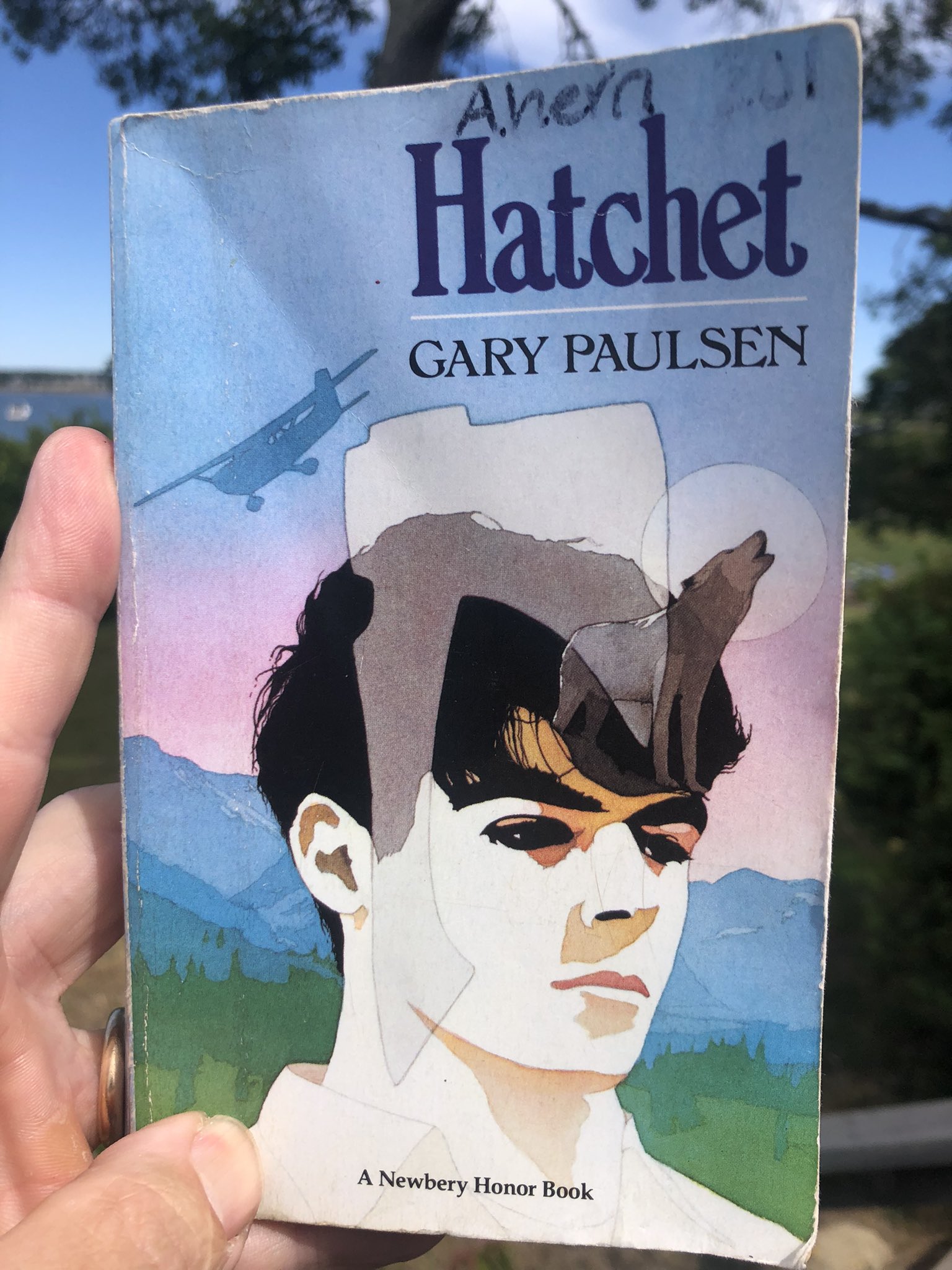 hatchet-2-book