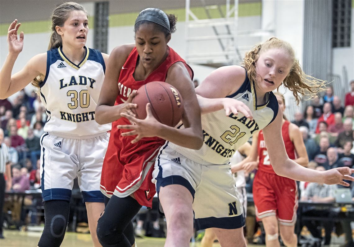 Journey Thompson, who might be a veterinarian one day, will soon be repping the Blue Hens. Also in this week's Recruit Report, Moon's Emma 'The Viking' Theodorsson picks a school, & a couple of WPIAL standouts pick up their first offers. @JourneyT_2 Story: bit.ly/35MEuaw