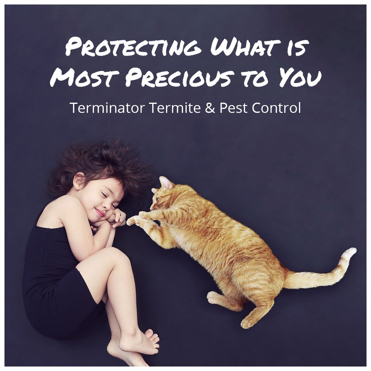 TerminatorTPC's tweet photo. @TerminatorTPC is proud to offer pest control services so you can protect what is most precious to you - your family!
Learn more: https://t.co/x7TDVQrYni
#TerminatorTPC #PestControl #TermiteControl https://t.co/JlZHdXw1iZ
