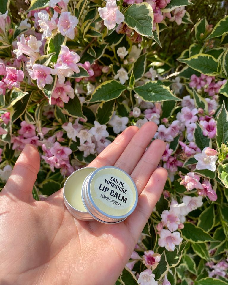DialectableGift's tweet image. A sunny day calls for a good lip balm!

Featuring gorgeously sweet, refreshing scents, handmade in Yorkshire with beeswax and jojoba oil, that helps to heal dry lips whilst leaving a natural shine. 

Treat thesen or a friend... they really are delicious! 
 dialectable.co.uk/product-catego…