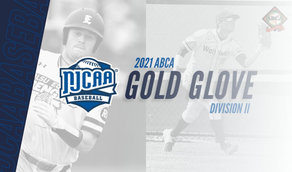 Flashing the leather inside the diamond earns <a href="/NJCAA/">NJCAA</a> student-athletes top fielding honors 🏅

The 2021 #NJCAABaseball ABCA Division II Gold Glove Award Team has arrived!

Full List ⏩ njcaa.org/sports/bsb/202…