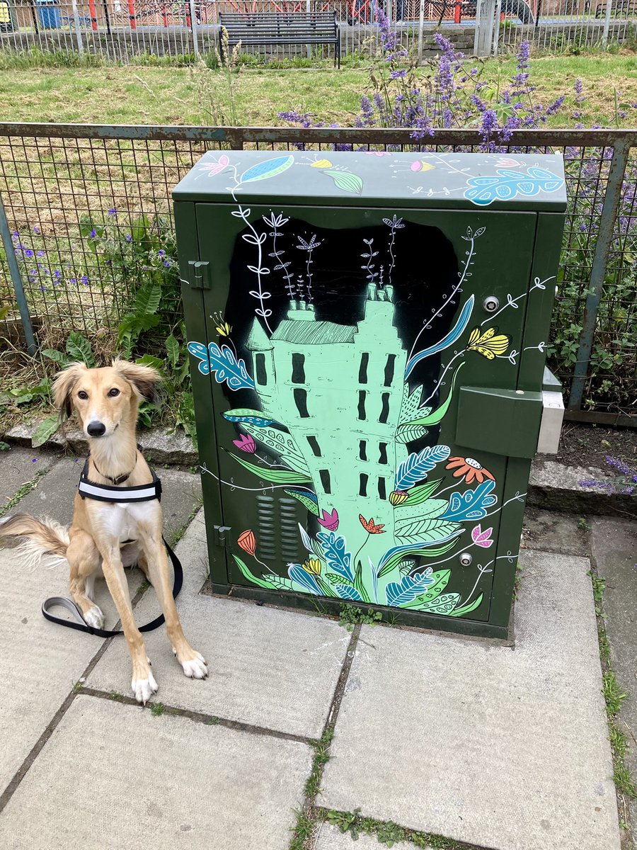 Went along to @WhiteParkGorgie to look at their newest public artwork! Dog for scale. 🐕🎨🖼
.
#art #whitepark #gorgie #dalry #edinburgh #scotland