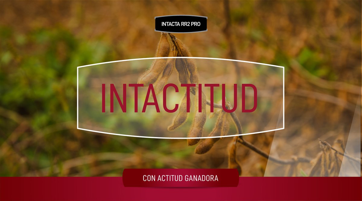 “Excelente rinde y ahorro de insumos gracias a su tecnología RR2 PRO” Testimonios que se repiten cada vez más a lo largo y a lo ancho del país. ¡Sigamos sumando experiencias inolvidables con #INTACTITUD ganadora! 📈💪