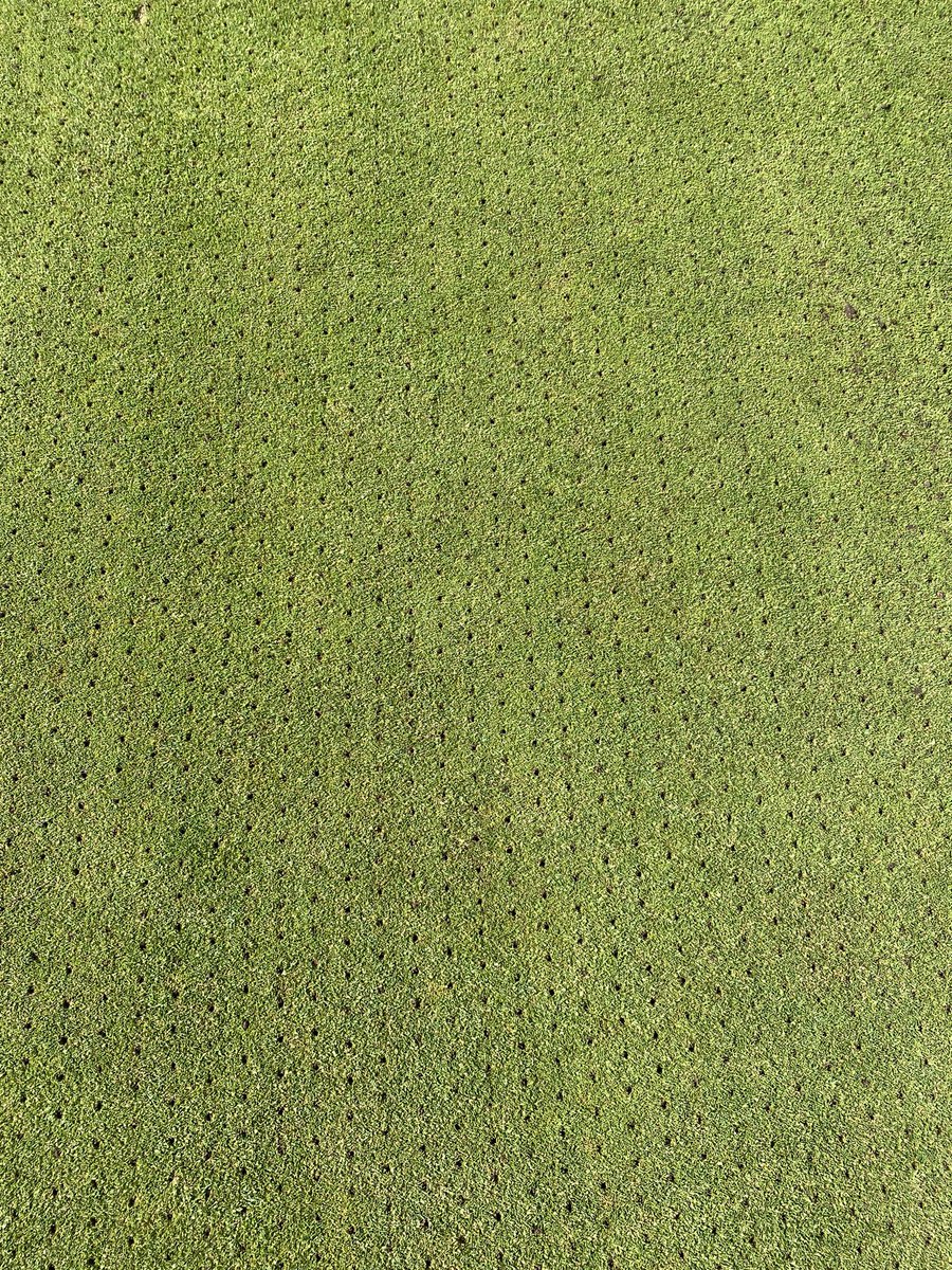 Redlibbets Greenstaff tweet media