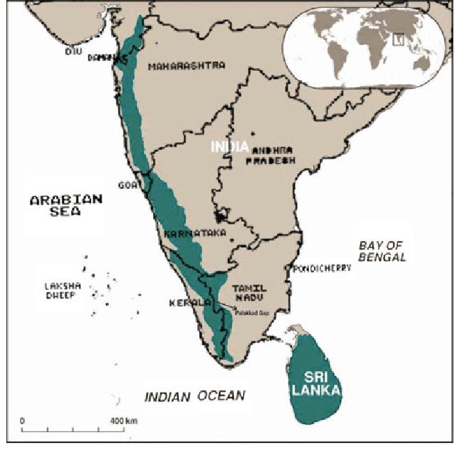 aan_an_adventur's tweet photo. All over the world biodiversity hotspots are going through extinctions where biodiversity loss is extremely high. Whilst a lot of the focus goes to the mammals and herpetofauna in those areas, fish often get overlooked. These hotspots encompass freshwater systems too. https://t.co/Y0hksf28mX