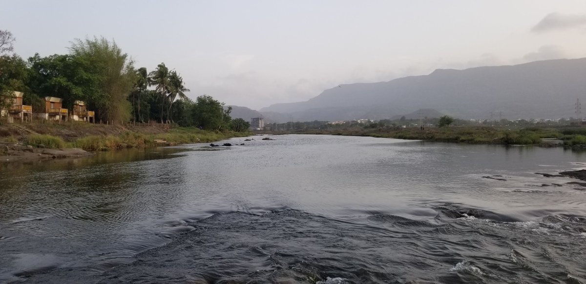 aan_an_adventur's tweet photo. All over the world biodiversity hotspots are going through extinctions where biodiversity loss is extremely high. Whilst a lot of the focus goes to the mammals and herpetofauna in those areas, fish often get overlooked. These hotspots encompass freshwater systems too. https://t.co/Y0hksf28mX
