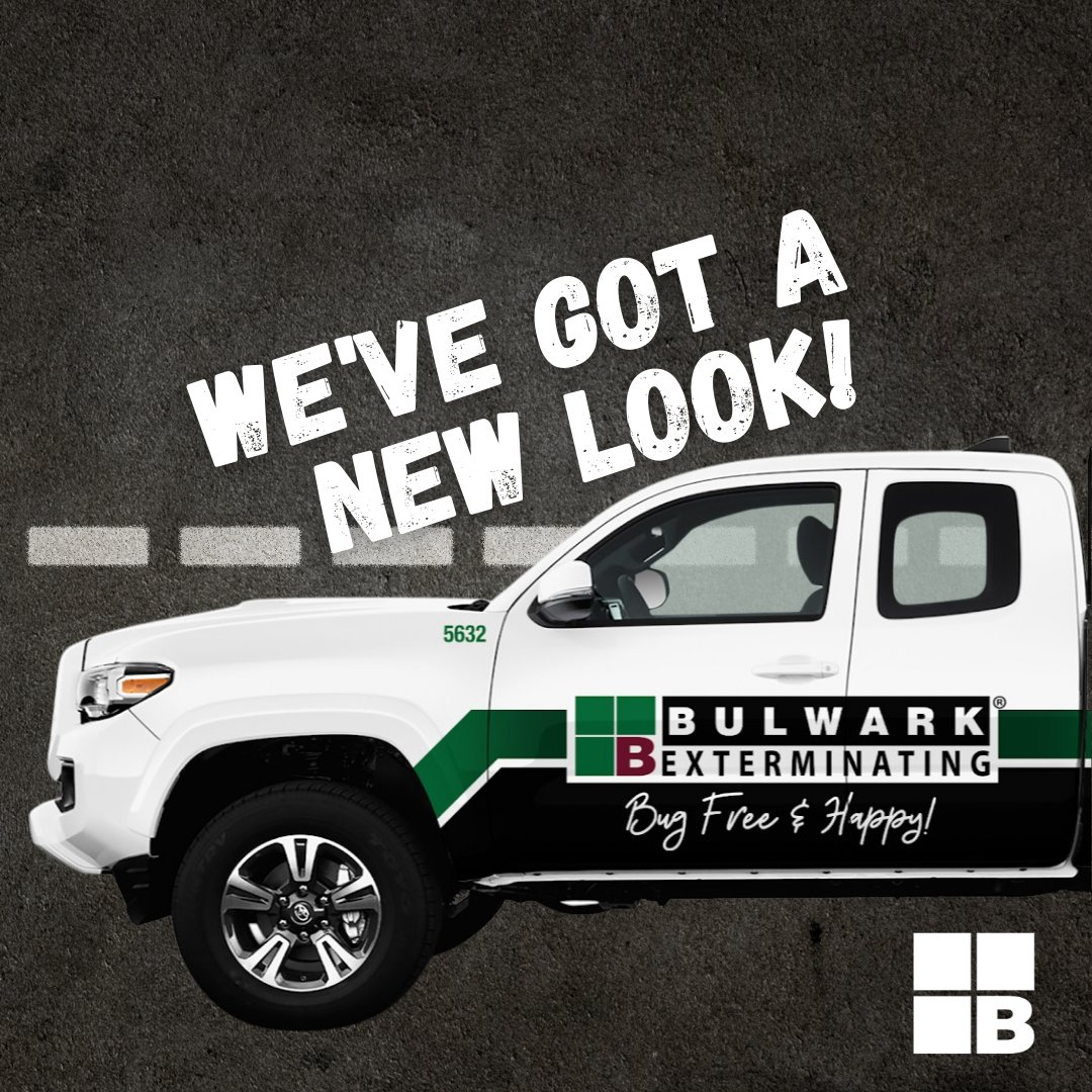 Look out!  👀 We've got a new look at Bulwark, if you haven't already noticed! It's been a changing design for the last 20 years but we've finally found a style that will stick. Have you seen our new trucks? What do you think? Sound off on what you think in the comments below!
