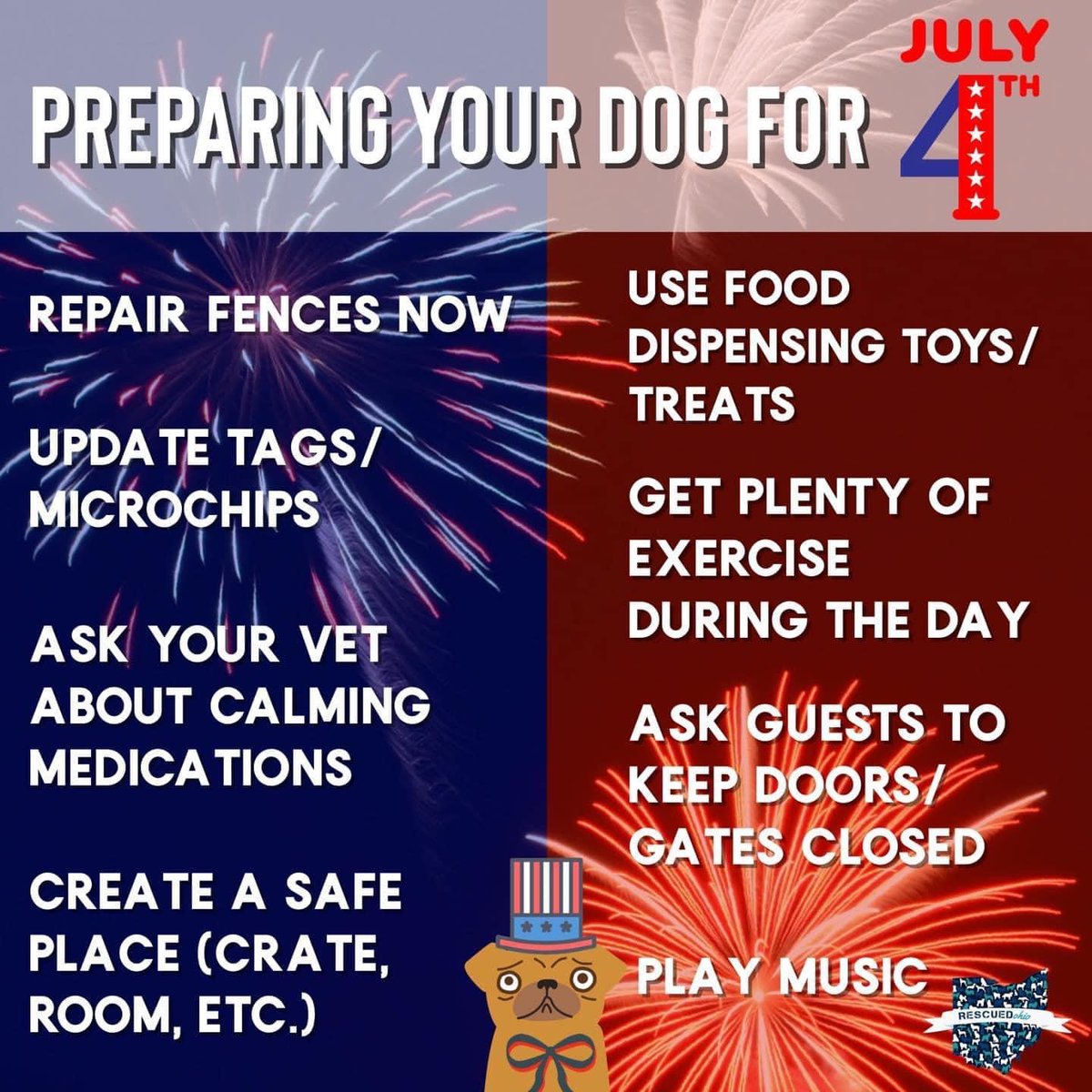 Does your dog get nervous at the sound of fireworks?! 🐶 🧨
Check out these tips to prepare them for the 4th! 

#jacksinc #jmipetsupply #petindustry #4thofjulytips #fireworksandpets