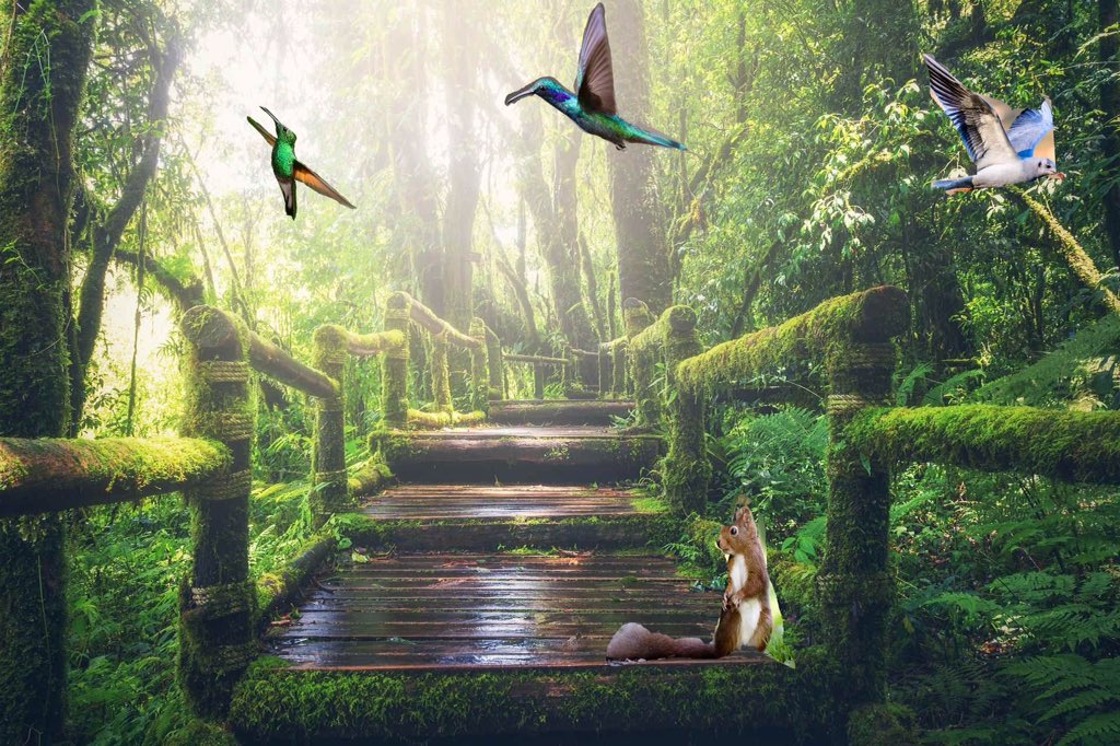 NewBrightonPS's tweet photo. Class 13 have been looking at real and fake images this afternoon. It was hard to tell with some of them! We then created our own fake images using #paint.net @NBPSComputing #nbpsComputing @WeAreComputing https://t.co/Kp5T2F0d5j