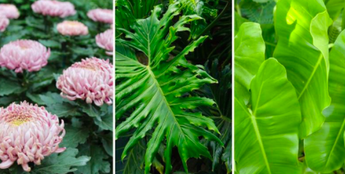 CultureofFuture's tweet image. This is the coolest, NASA lists the plants that clean your personal capsule the best. designboom.com/technology/nas… #scienceandenvironment #indoorairquality #design