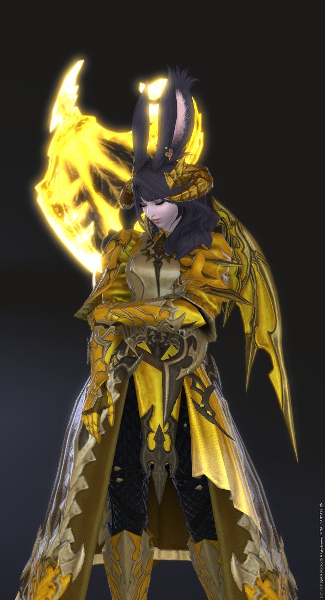 タンク胴装備片翼だけど戦士だと両翼になるからいいぞ 