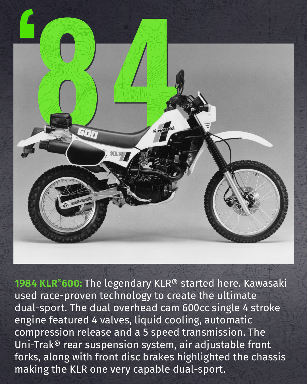 600cc 2024 dual sport