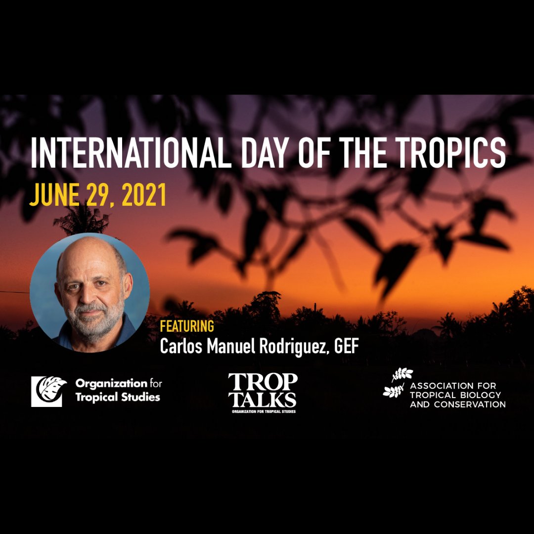 Join us to celebrate the International Day of the Tropics! OTS and the <a href="/theATBC/">ATBC</a>  will co-host a TropTalk featuring <a href="/cmrodrigueze/">Carlos Manuel Rodriguez</a> CEO and Chairperson of <a href="/theGEF/">Global Environment Facility (GEF)</a> on June 29th, 4PM EST.

tropicalbiology.org/OTSTropTalks

#internationaldayofthetropics #troptalks #tropicalstudies #atbc #gef