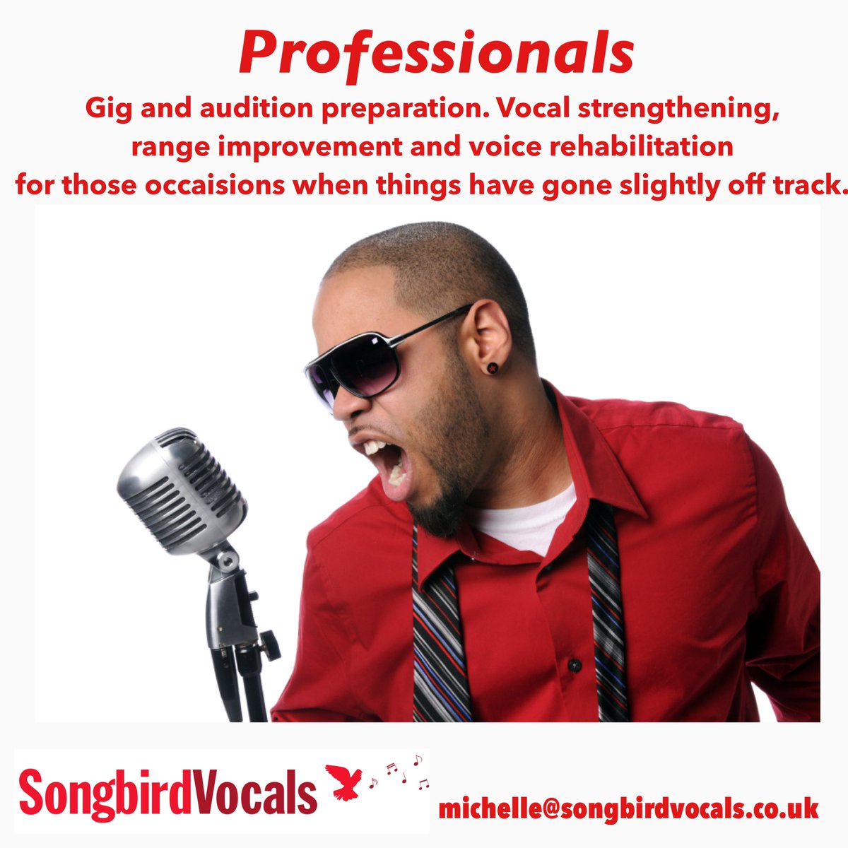 Singing lessons &amp; Vocal Coaching. London vocal coach Michelle Stratford has relocated to Barnham, Bognor Regis, West Sussex. Email for enquiries michelle@songbirdvocals.co.uk #singing #vocalcoach #band #performer #vocalist #songbirdvocals #barnham #arundel #chichester