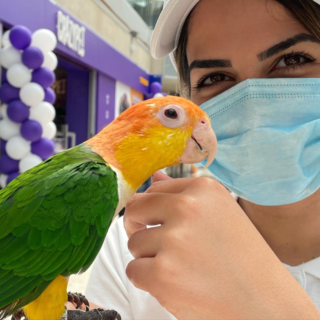 ¿Todavía no conoces la nueva #tienda de #CrazyPet? ¡No esperes más! Estos son algunos de sus simpáticos visitantes 🦜 Si necesitas cualquier producto relacionado con el cuidado de tu #mascota, ¡CrazyPet es el lugar perfecto! 🐣