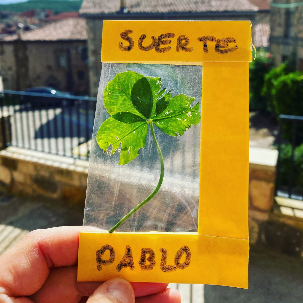 PABLOBOTTERA's tweet photo. Último día de cole. Es un día en el cual se viven momentos bonitos y tristes al mismo tiempo. En mi caso de despedida como interino. Denís me regala un trébol de 4 hojas que le ha llevado más de tres horas en encontrarlo solo para desearme toda la suerte del mundo. #sinpalabras https://t.co/pVYLMTvuSK