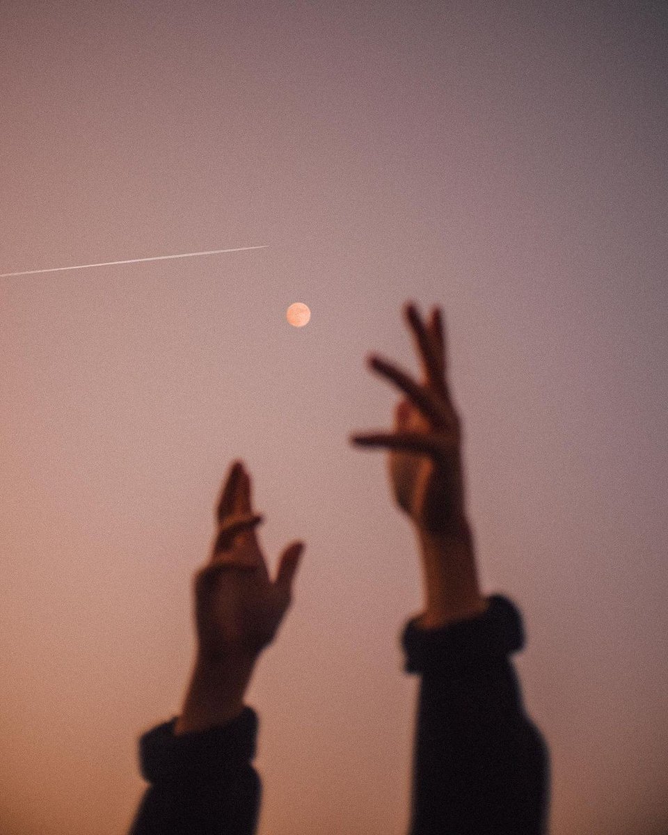 PsychdelicPics's tweet image. via IG: thatch.rchkm