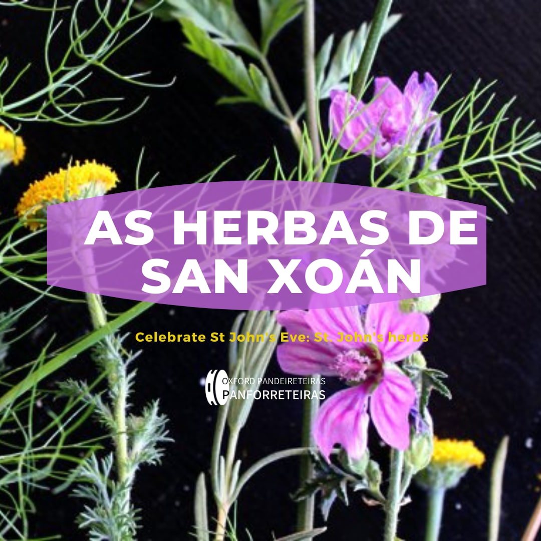 Lembrade que hoxe é San Xoán, unha das nosas noites favoritas do ano! 🔥🔥🔥 Esperamos que teñades boa noite e a ver se para o 2022 nos podemos ver en Port Meadow!
Aquí tendes unha guía para que saiades a recoller as herbas e preparedes o cacho! ir.gl/72 🌿🌸🍃🌼