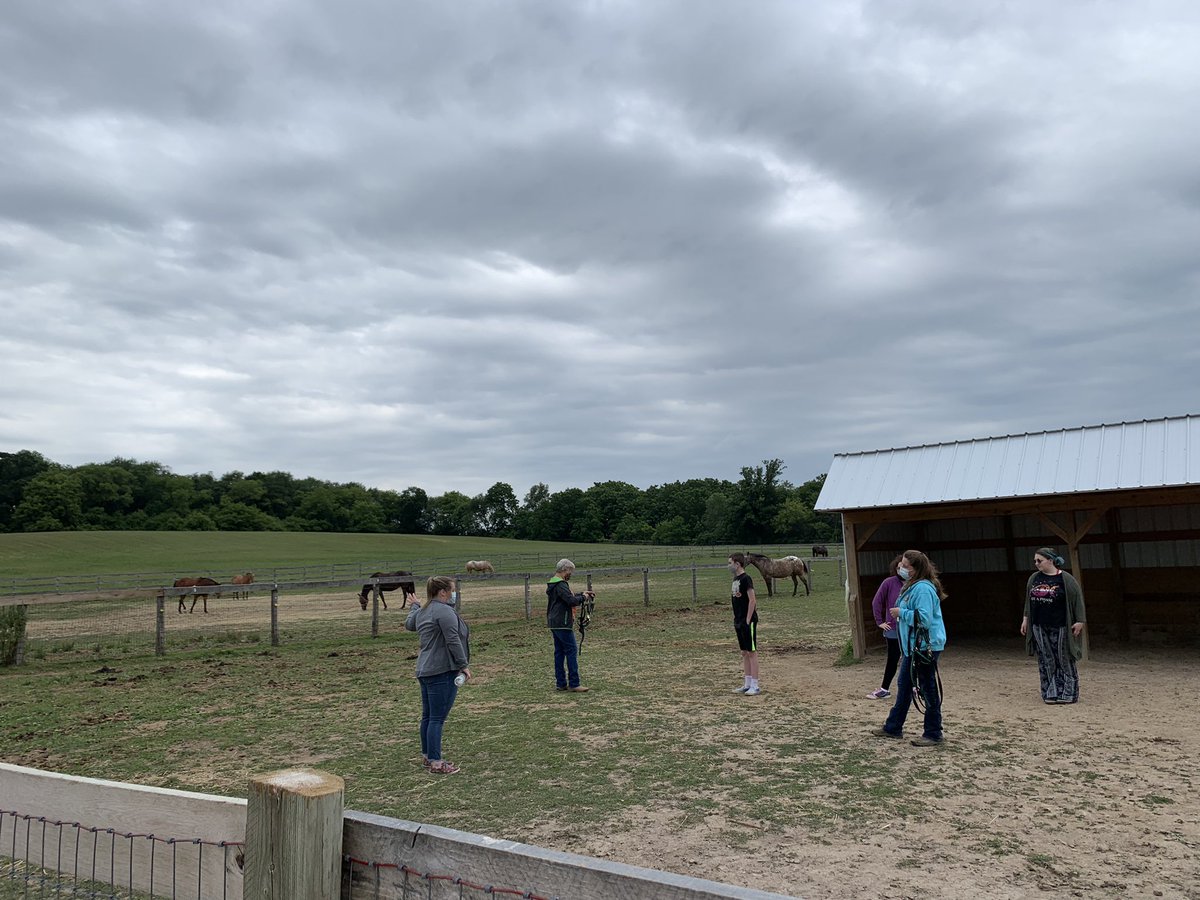 MrsONeil_MCHS's tweet photo. Day 13 of #SummerSession1 We had a great time with the large horses, Beau and Cody. We also tried foods from the garden, learned more about monarch butterflies, made signs for the garden, and did some mindfulness meditation. #GrowingForward #WarriorPride156 #Summer2021 🧡🖤 https://t.co/umBj0eOfiI