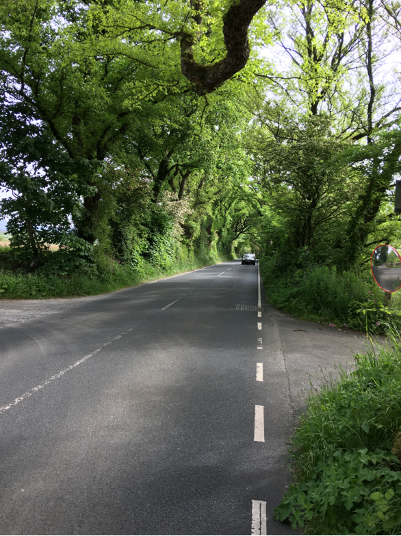 manxnature's tweet photo. Internationally important tree landmark to be felled. Planning consent has been granted for the felling of one of Europe’s last elm tree tunnels at St Marks. Despite being a registered woodland with trees over 100 years old. 🌳☹️

📷 Allen Bowness https://t.co/i5K5eePCqz
