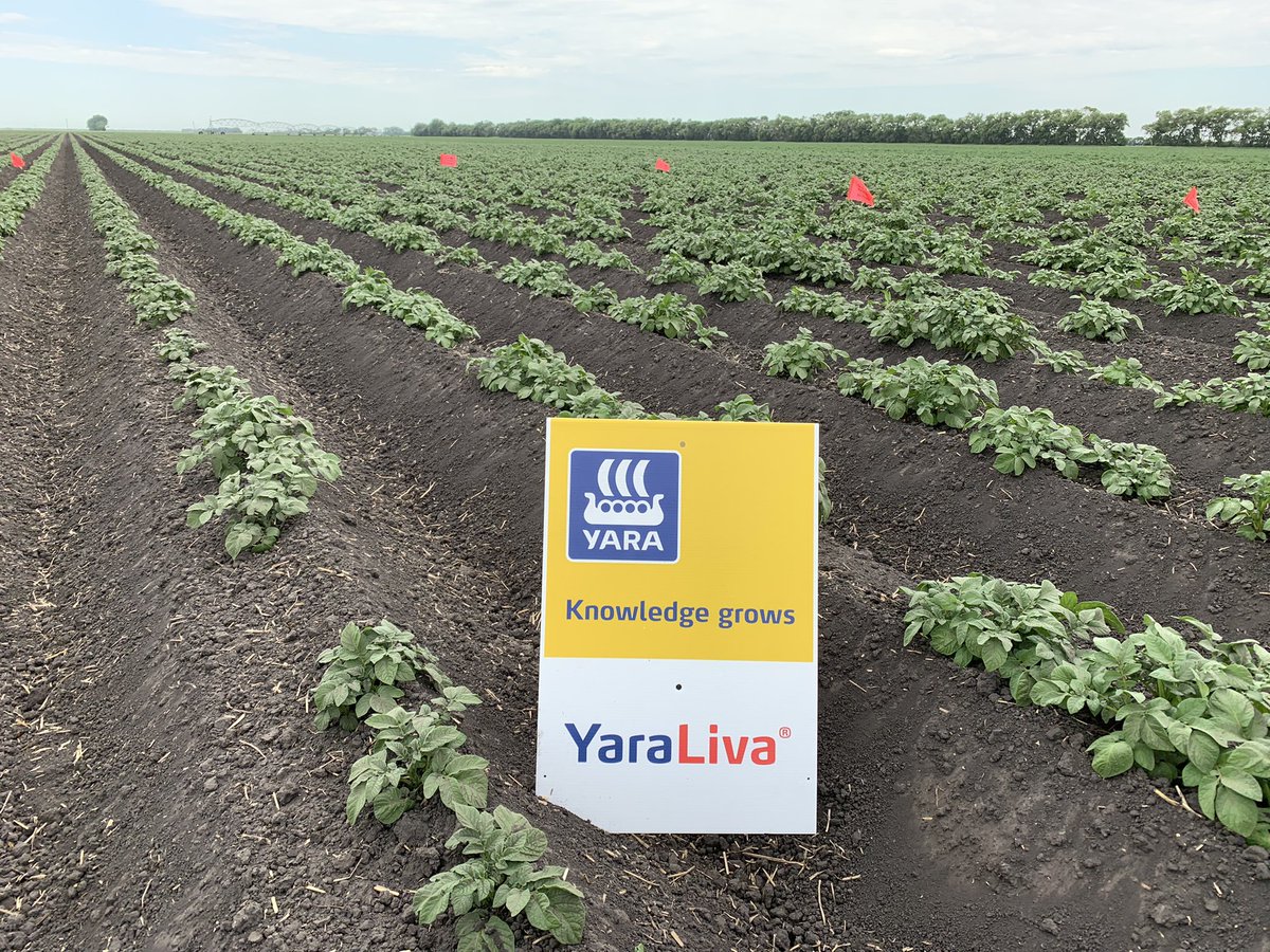 Neil Iverson tweet media