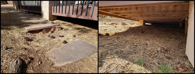 Sparky_Fire_Dog's tweet image. Know your #HomeIgnitionZone: In the Immediate Zone (the home &amp;amp; 0-5ft around it) for #wildfire, never store flammable materials underneath decks. Remove debris from under decks &amp;amp; between board joints. Learn more: bit.ly/3vInk8s  #fireadapted #firewise #wisdomwednesday