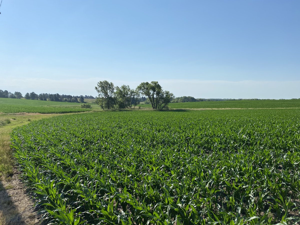 UPCOMING #UFARM ONLINE LAND AUCTION - August 25th, 2021.  Unique opportunity to purchase property located in Gage County with native prairie and potential development opportunities.  LEARN MORE on our website: ufarm.com/listings/gage-…
#landforsale #nebraska