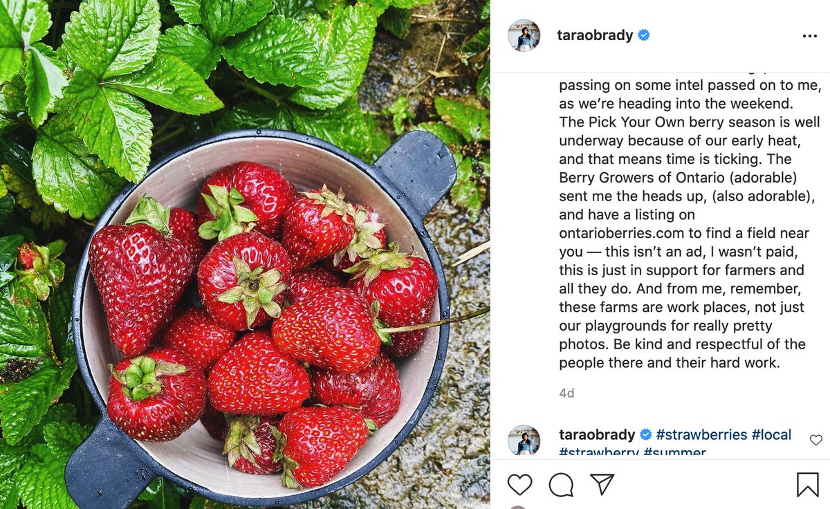 Social media influencer Tara O'Brady has message for PYO season:"Remember these farms are workplaces, not just our playground for really pretty photos. Be kind and respectful of the people there and their hard work." <a href="/taraobrady/">Tara O'Brady</a> <a href="/growernews/">The Grower</a> <a href="/OntarioBerries/">Berry Growers of Ontario</a> #strawberries