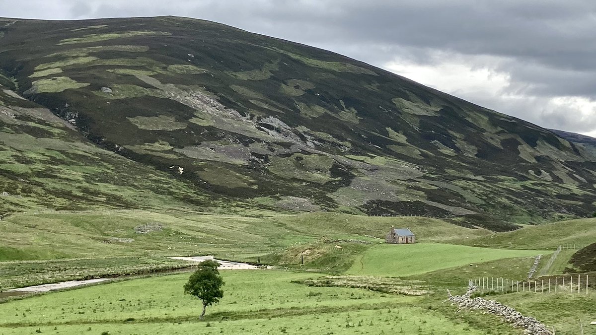 Red 7 Productions tweet media