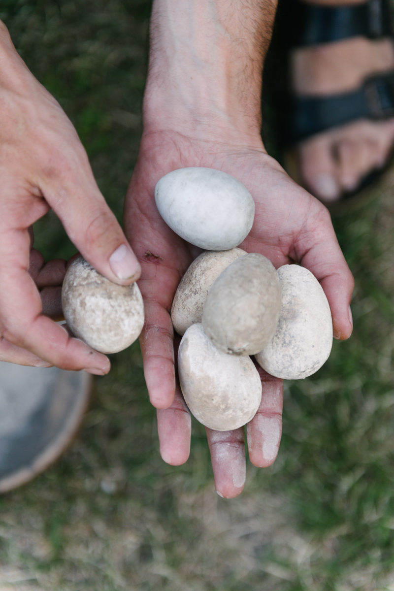 Friends of Friends tweet media