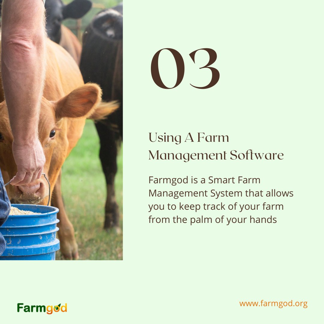 OfficialFarmgod's tweet photo. Manage your #farm the smart way!

Register for Farmgod today at https://t.co/fXnN7u1IOj https://t.co/PtERL8a0uJ