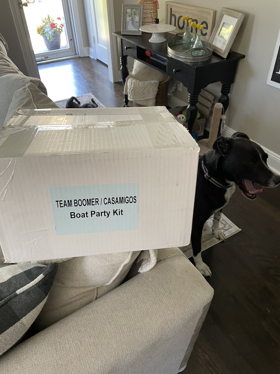 zoismonsta10's tweet photo. @michael49786 we are ready! @GioWFAN https://t.co/Z3VYflmvLb