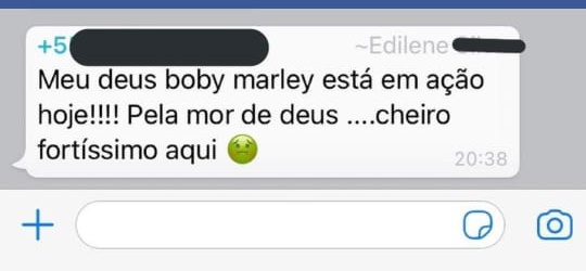 RAVE NA MENTE tweet media