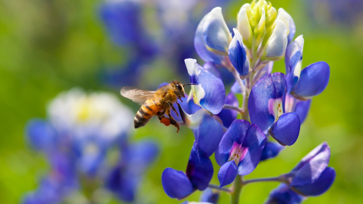 Beyond Pesticides tweet media