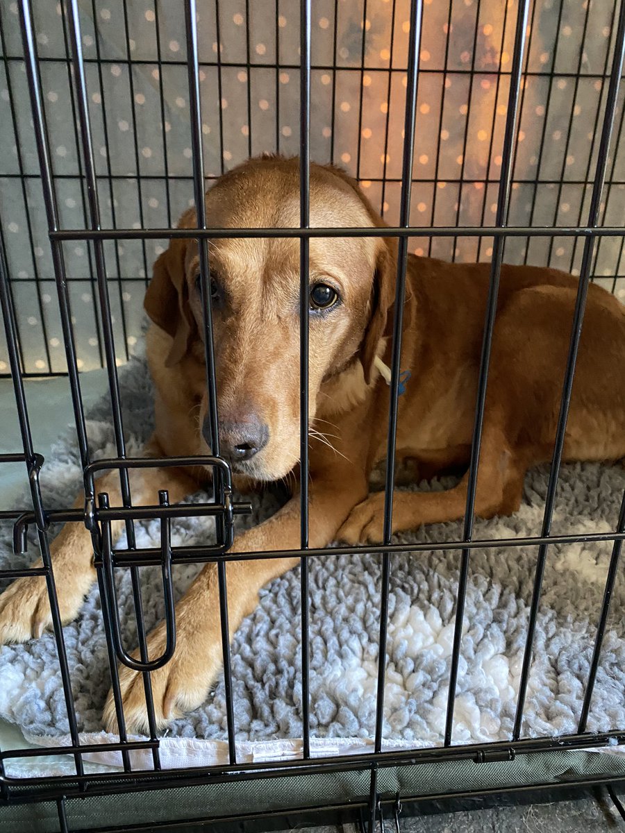 🧡Lushlabs🧡 tweet media