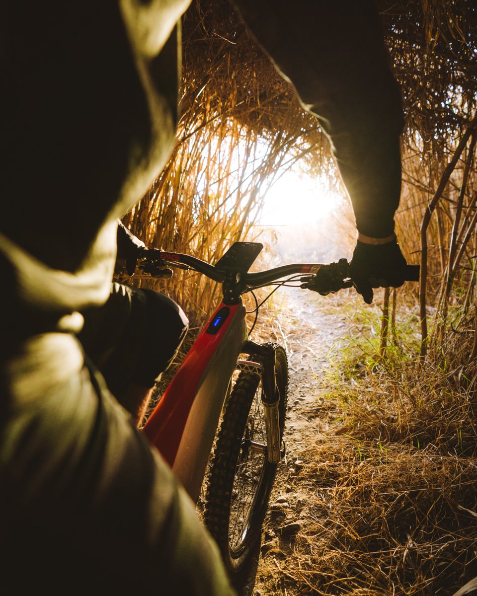 ROKFORM's tweet image. Keep moving forward... 🚴‍♂️
Get a Rokform Bike Mount: loom.ly/BUC7gM4

#beyondprotection #rokform #bikes #mtbpassion #cyclinglife #mtbdownhill #bicycle #mtblife #cycling #downhill #biking #enduromtb #mountainbiking #ride #lifestyle #mtb #mtblovers