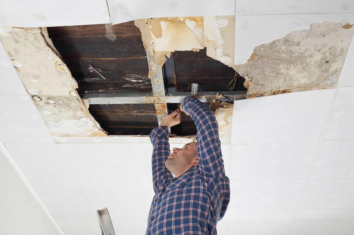 De meest voorkomende verborgen gebreken in vogelvlucht.....

Wie een bestaand huis koopt, koopt de woning in de staat waarin die zich op dat moment bevindt. Dat wil zeggen: inclusief alle zichtbare en onzichtbare (verborgen) gebreken. 

Lees meer op ow.ly/iUi450FgZOz