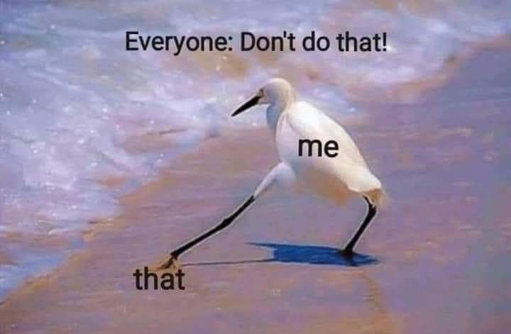 Image of this social media content