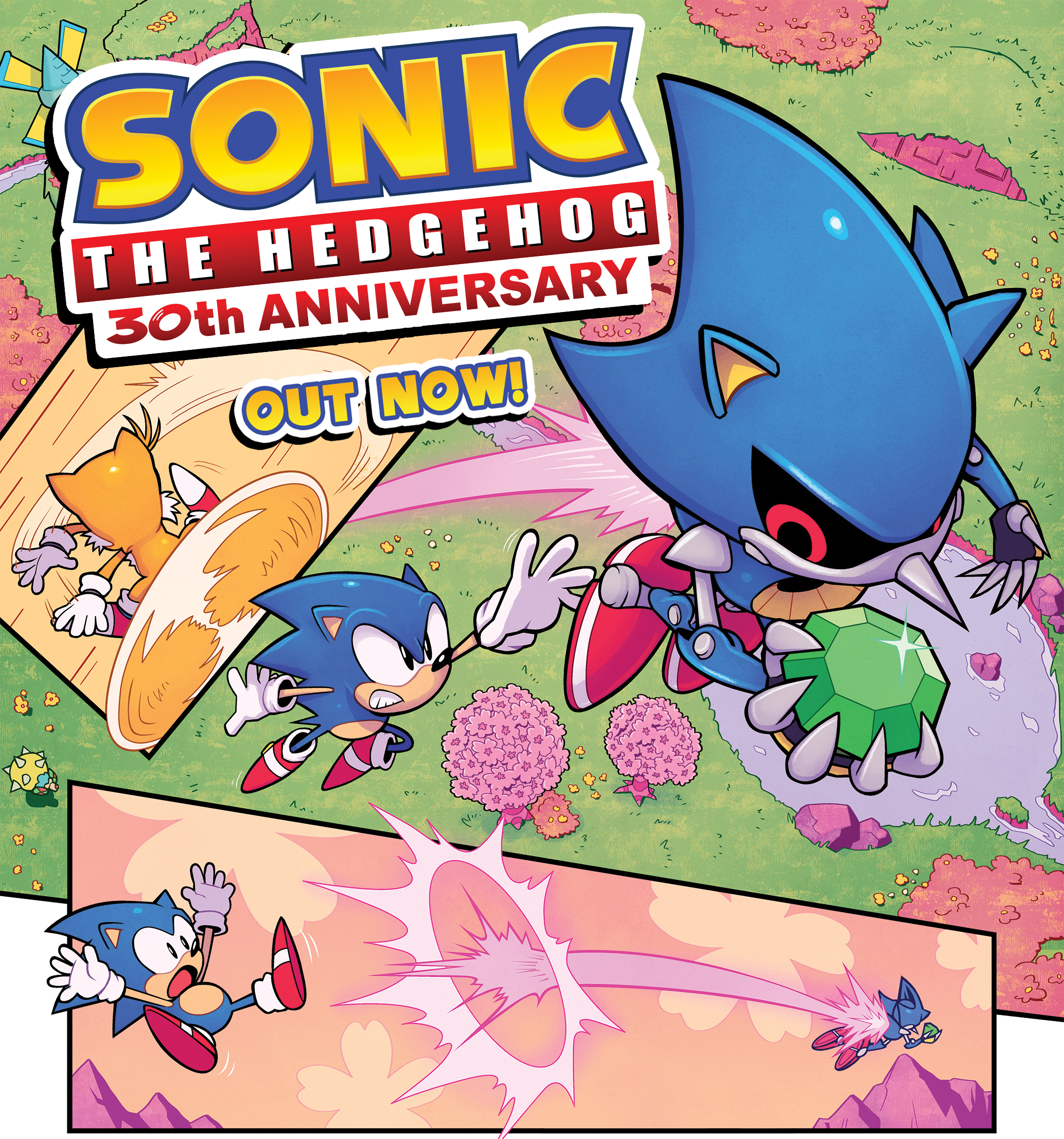 Sonic the Hedgehog 30th Anniversary Special