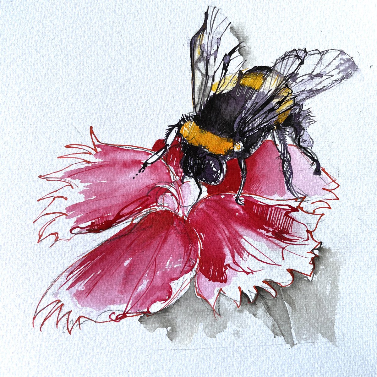RachelcwArt's tweet image. A bee arrived #artistontwitter #visibilityfest #handmadehour #justacard