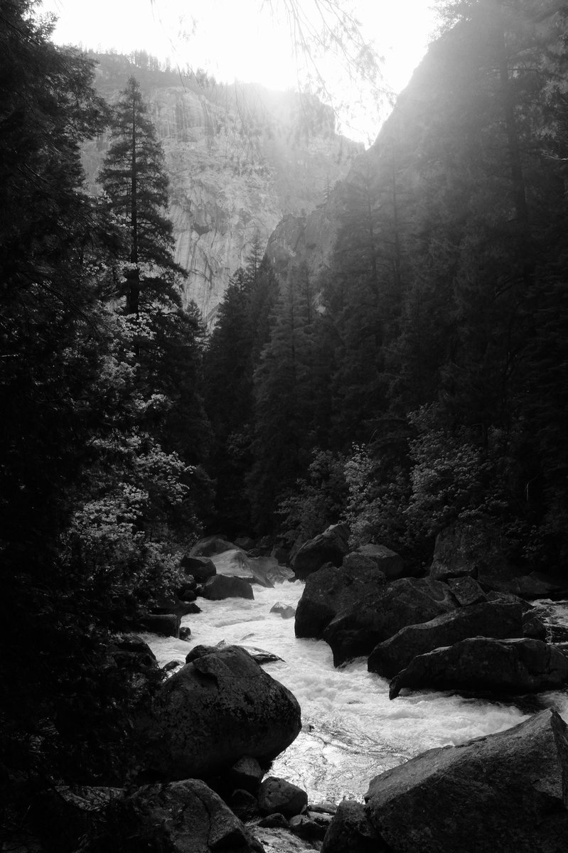 _JC84's tweet photo. 32 days to get into the best shape I’ve ever been in while in Yosemite. Talk about some motivation right there. #cloudsrest #panoramatrail #misttrail #fourmiletrail #upperyosemitefalls https://t.co/p7WfV2nu6e
